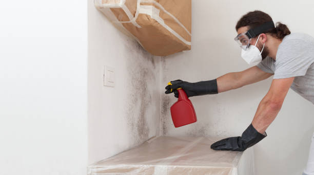 Professional Basement Mold Remediation technician working in Kingsley, MI