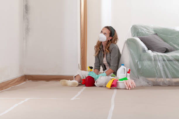 Reliable Basement Mold Remediation contractor in Kingsley, MI by Mold Remediation HQ